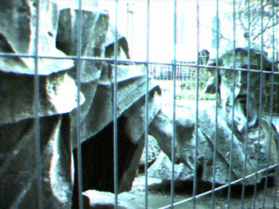 photography, london