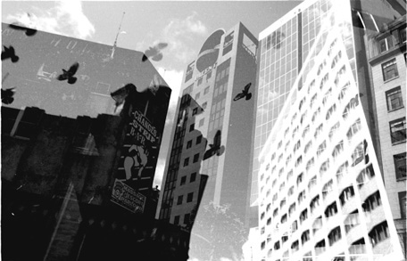 photograph, Auckland, New Zealand, October, 1996
