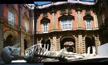 photography, Barga, italy, naples, milan, rome, sistine chapel, archeology