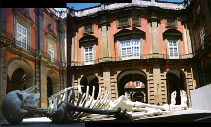 photography, Naples, Italy