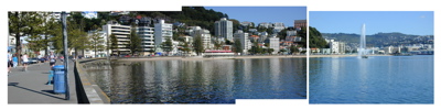 oriental-bay-panarama-1