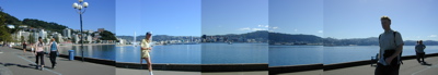 oriental-bay-panarama-2