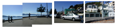oriental-bay-panarama-3