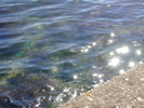 kelpme.JPG