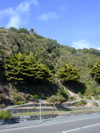 DSCN0014.JPG